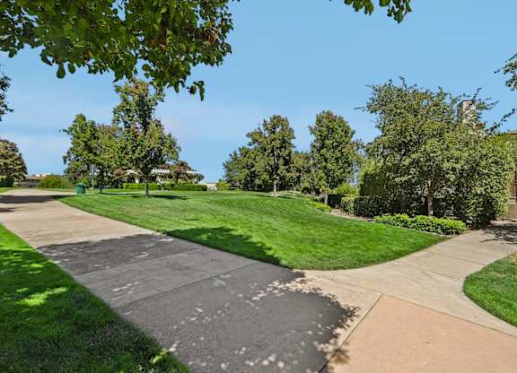 A park with a paved walkway and green grass.