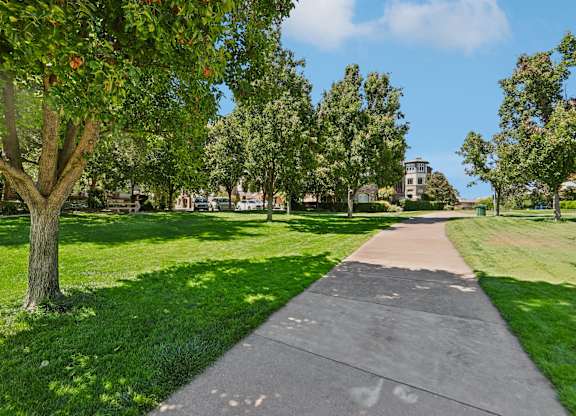 A tree with green leaves is on the left side of a concrete walkway.