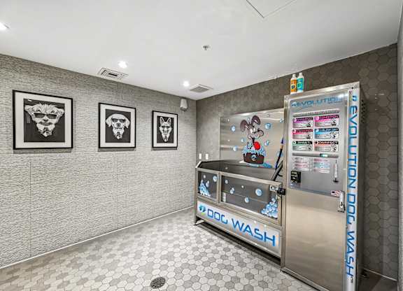 A dog wash machine is in a room with three pictures of dogs on the wall.