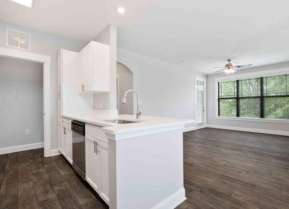 kitchen and living room