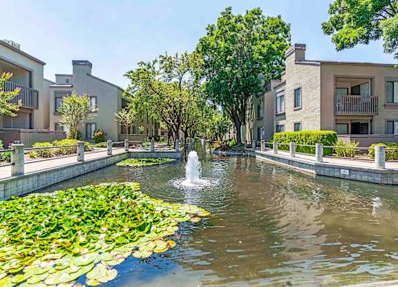 Dog Friendly Apartments in Walnut Creek CA - Park Lake at Walnut Creek - Breathtaking Water Fountain, Greenery, and Walkways