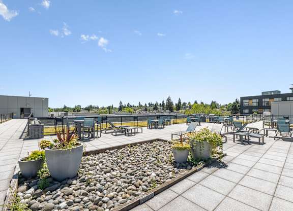 A rooftop patio with a stone walkway and potted plants.