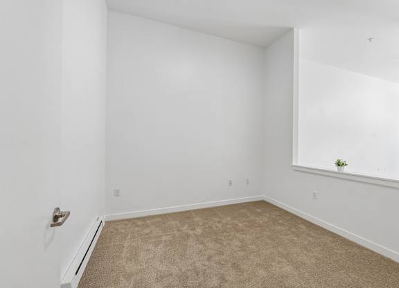 A room with white walls and a window with a plant on the sill.