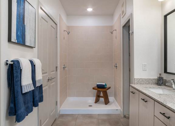 Riverview, FL Apartments – Sole at Brandon - Walk-In Shower w/ Dual Showerheads
