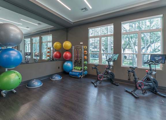 Apartments In Riverview, FL for Rent – Sole at Brandon – Fitness Center w/ Boxing Ring & Cardio Area