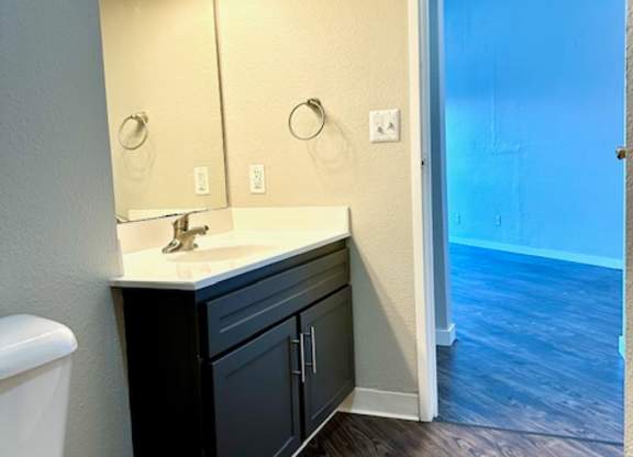 a bathroom with a toilet and a sink and a mirror