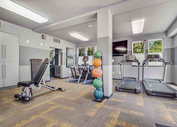 Walnut Creek, CA, Apartments for Rent - Ivy Hill - Fitness Center with Treadmills, Elliptical Machines, Workout Bench, Medicine Balls, TV, and Windows.