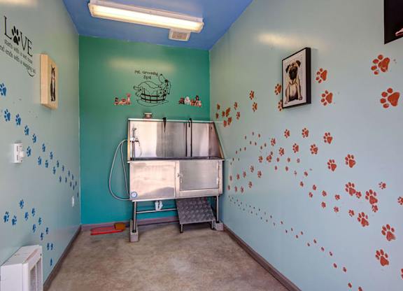 A room with a blue wall and a fridge.