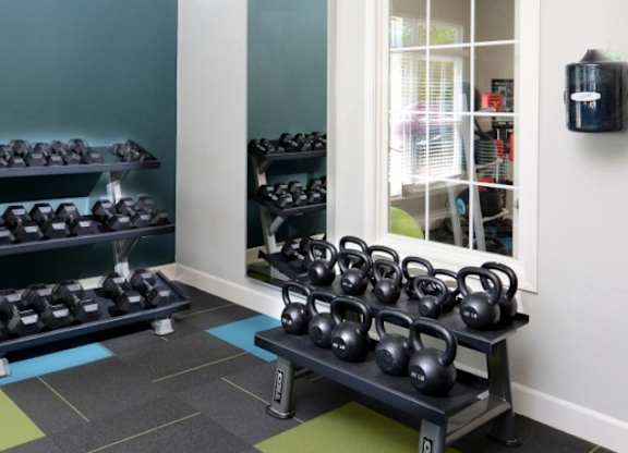 A gym with kettlebells on racks and a window in the background.