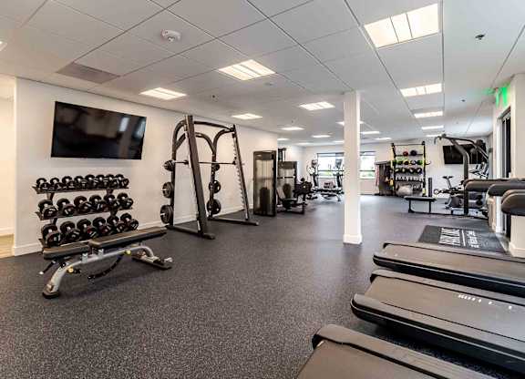 A gym with treadmills, weights, and exercise equipment.