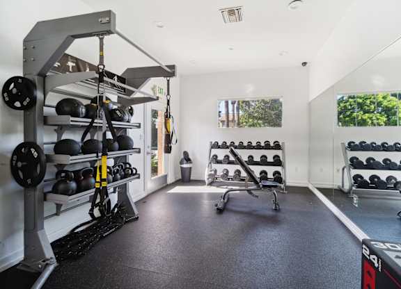 a gym with weights and mirrors on the wall