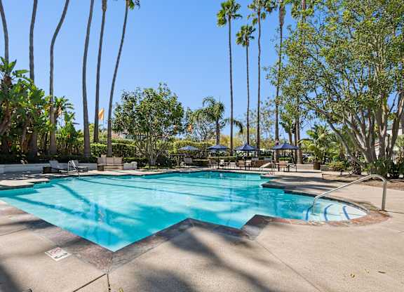 A large swimming pool surrounded by palm trees.
