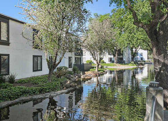 A row of houses with a pond in front.