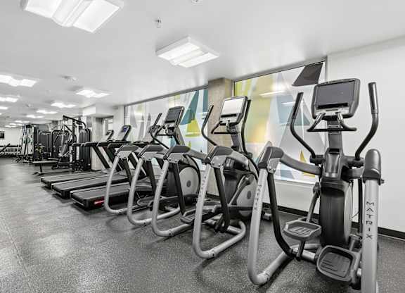 A row of elliptical machines in a gym.