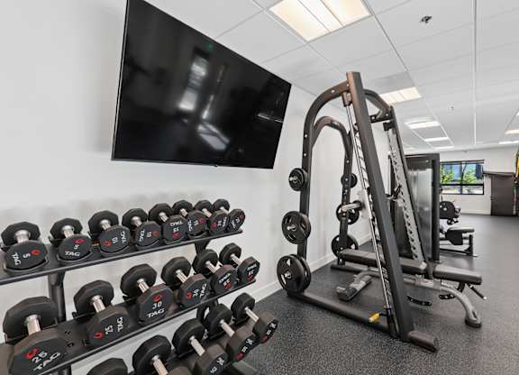 A gym with a row of dumbbells and a bench press.