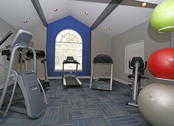 Stonegate Apartments in Palm Harbor, FL photo of Fitness center- cardio machines