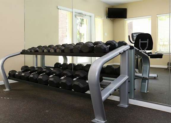 Free weights in fitness center