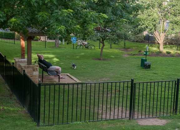 dog park