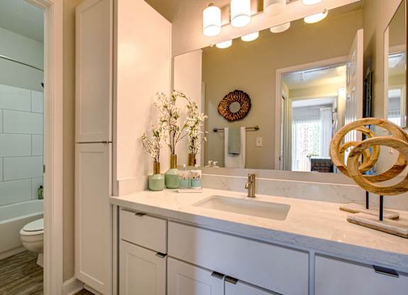 Phoenix, AZ Apartments for Rent - Village at Lakewood Bathroom with Large Vanity and Stainless Steel Fixtures