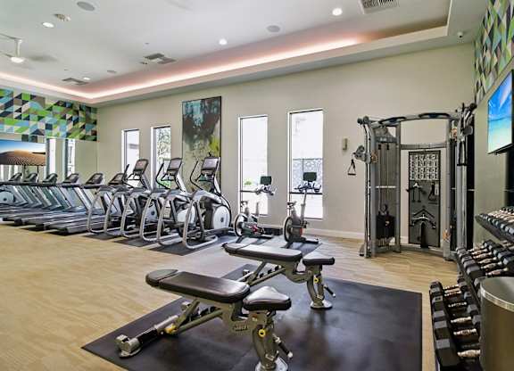 A gym with a variety of equipment including treadmills, weights, and a rowing machine.