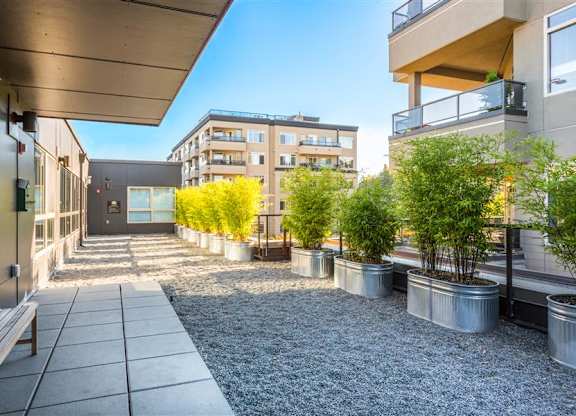 outdoor social area