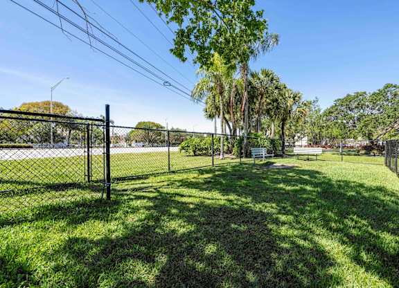 Apartments In Coconut Creek for Rent – Waterview at Coconut Creek – dog park with grassy area and palm trees in background