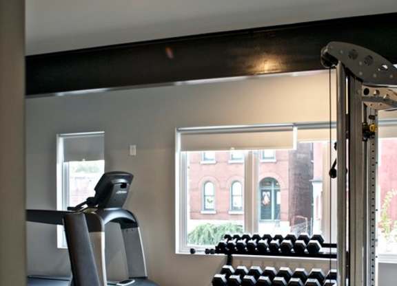 A gym room with a row of dumbbells and a bench press.