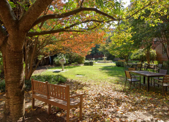 Courtyard with seating area at Cathedral Mansions, Washington, 20008