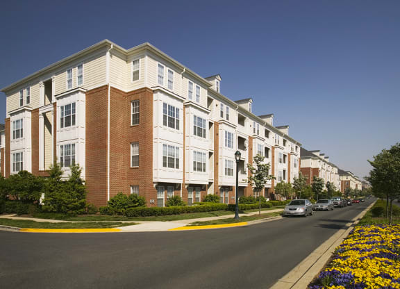 a row of apartment buildings on a street with cars parked on the side of the road at The Residences at King Farm, Rockville, MD, 20850