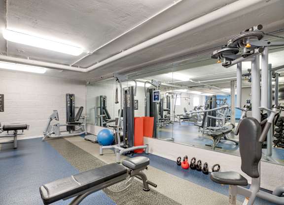 Fitness center with free weights at Mason Hall in Alexandria, VA 22314