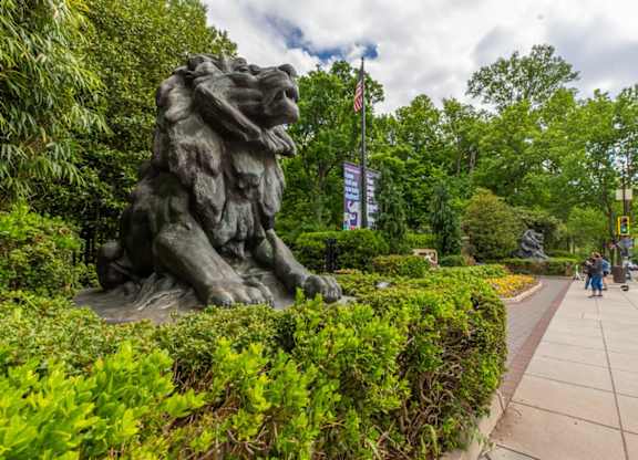 Lion Statue at National Zoo