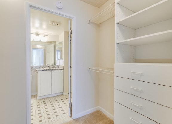 Walk-in closet with shelving and drawers  at Lenox Park, Silver Spring, 20910