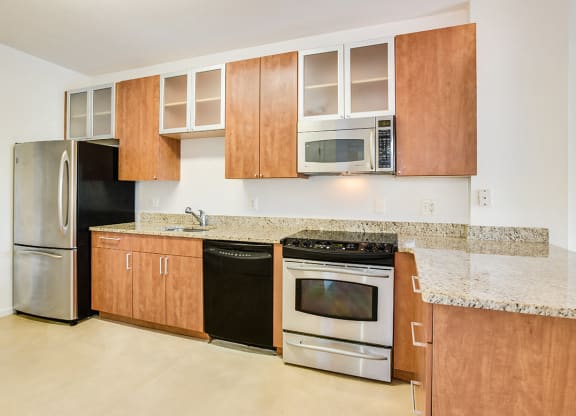 Renovated kitchen with granite countertops  at Kalorama Park, Washington, DC 20009and stainless steel appliances