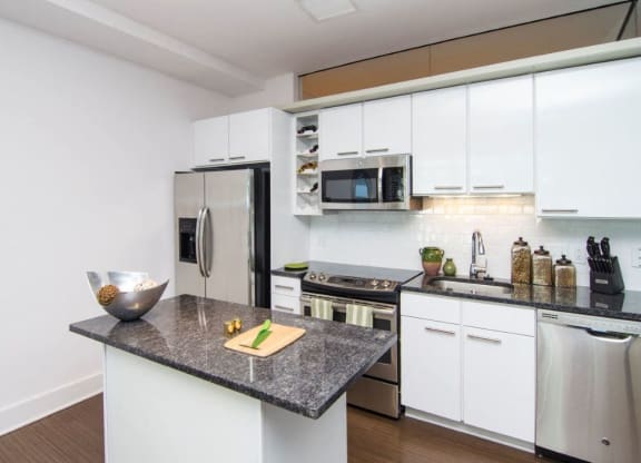 Kitchen with granite countertops and stainless steel appliances at Lex and Leo at Waterfront Station, Washington, DC 20024