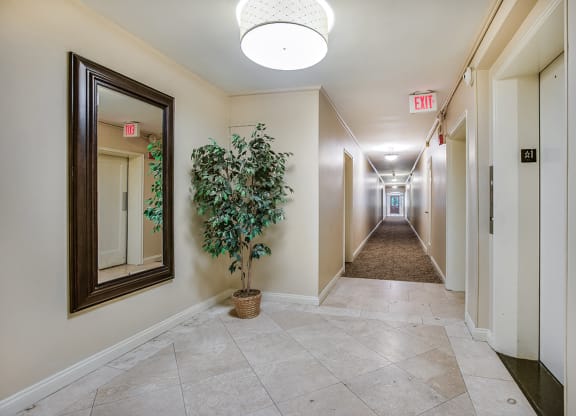 Building hallways at Mason Hall in Alexandria, VA 22314