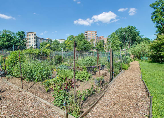 Nearby community garden at Park Crest Apartments, District of Columbia 20007