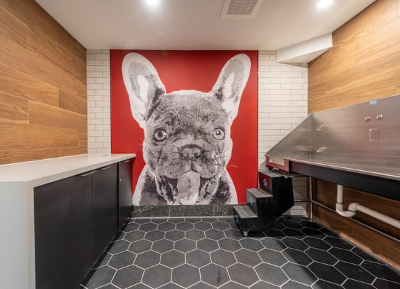 Pet spa at 1500 Arlington, Arlington