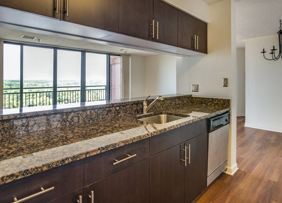 Granite Counter Tops In Kitchen at Residences at Rio, Maryland