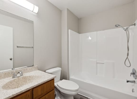 a bathroom with a shower toilet and sink and a mirror