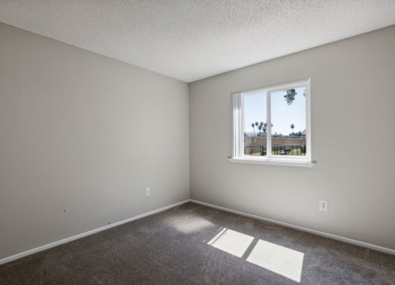 an empty room with carpet and a window