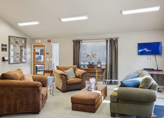 a living room with couches and chairs and a tv