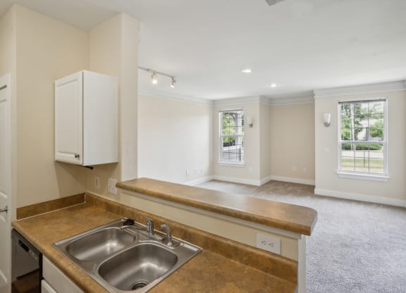 a kitchen and living room with a sink and a window