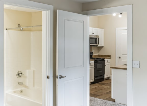 the view of a bathroom and a shower with the door open
