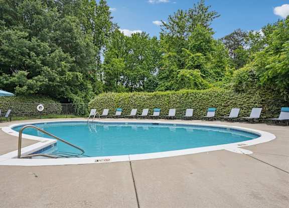 A round swimming pool surrounded by trees and bushes.