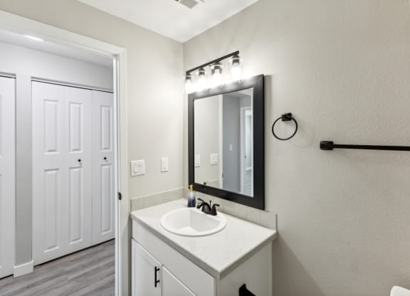 a bathroom with a sink and a mirror and a closet