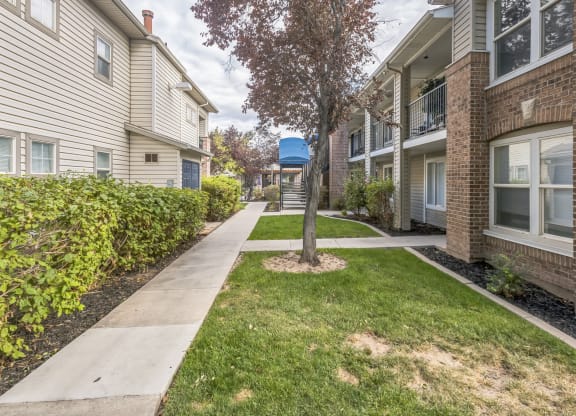 a walkway between two apartment buildings with a tree in the middle