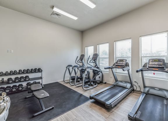 A gym with treadmills, weights, and exercise bikes.