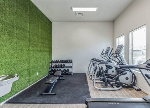 A home gym with a green wall and various exercise equipment.