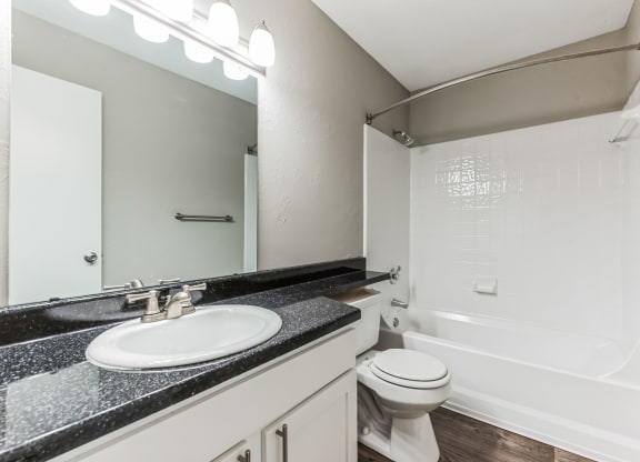 a bathroom with a sink and a toilet and a shower