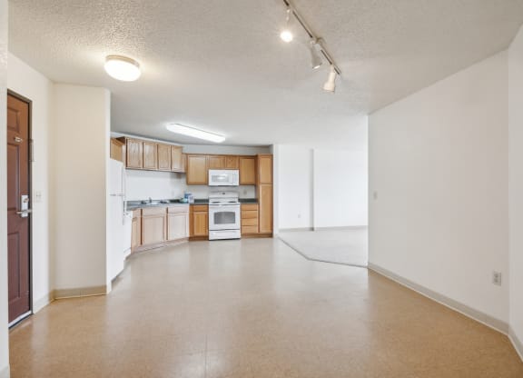 Spacious open-concept apartment with a kitchen featuring wooden cabinetry, white appliances including a refrigerator, stove, and microwave, and beige vinyl flooring. The entrance door is visible on the left, with track lighting on the ceiling and a carpeted living area in the background